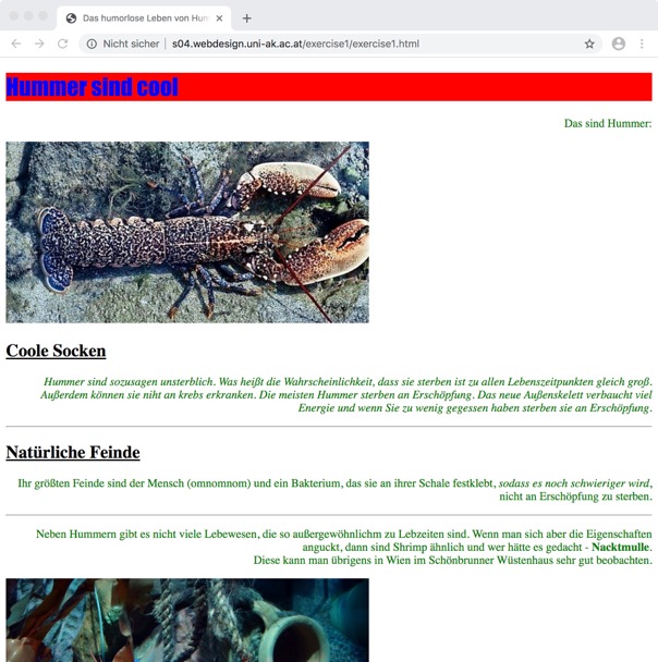 screenshot first exercise